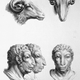 Illustration for article titled Baroque-Era Drawings Reveal Early Ideas About Evolution